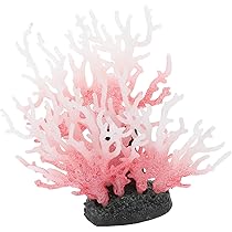 71r25sMub+L._AC_UL210_SR210,